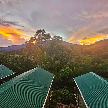 Eco Horqueta Bed & Breakfast Boquete Exterior photo