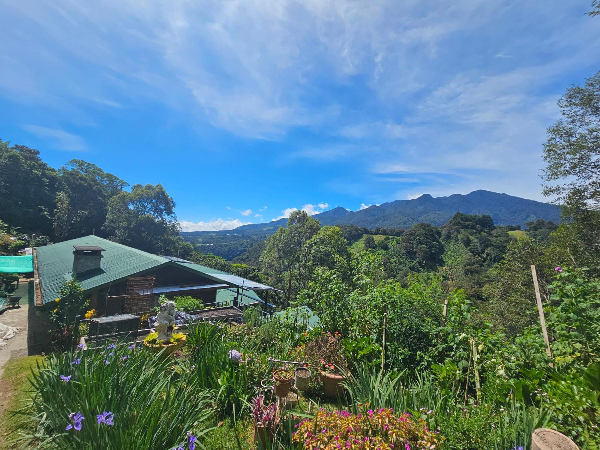 Eco Horqueta Bed & Breakfast Boquete Exterior photo