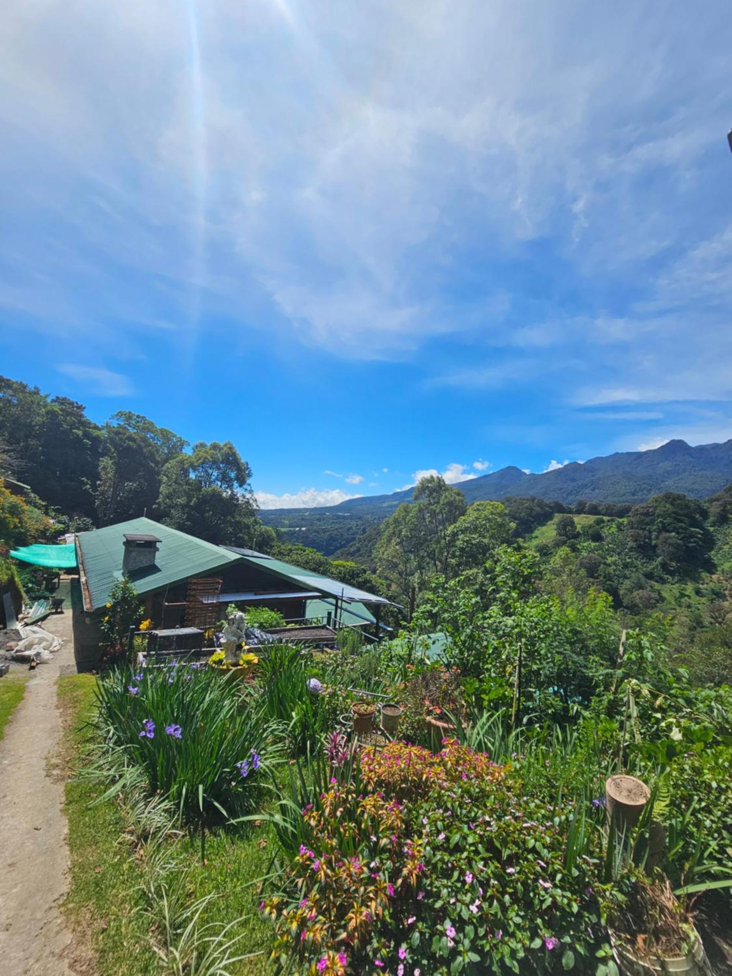 Eco Horqueta Bed & Breakfast Boquete Exterior photo