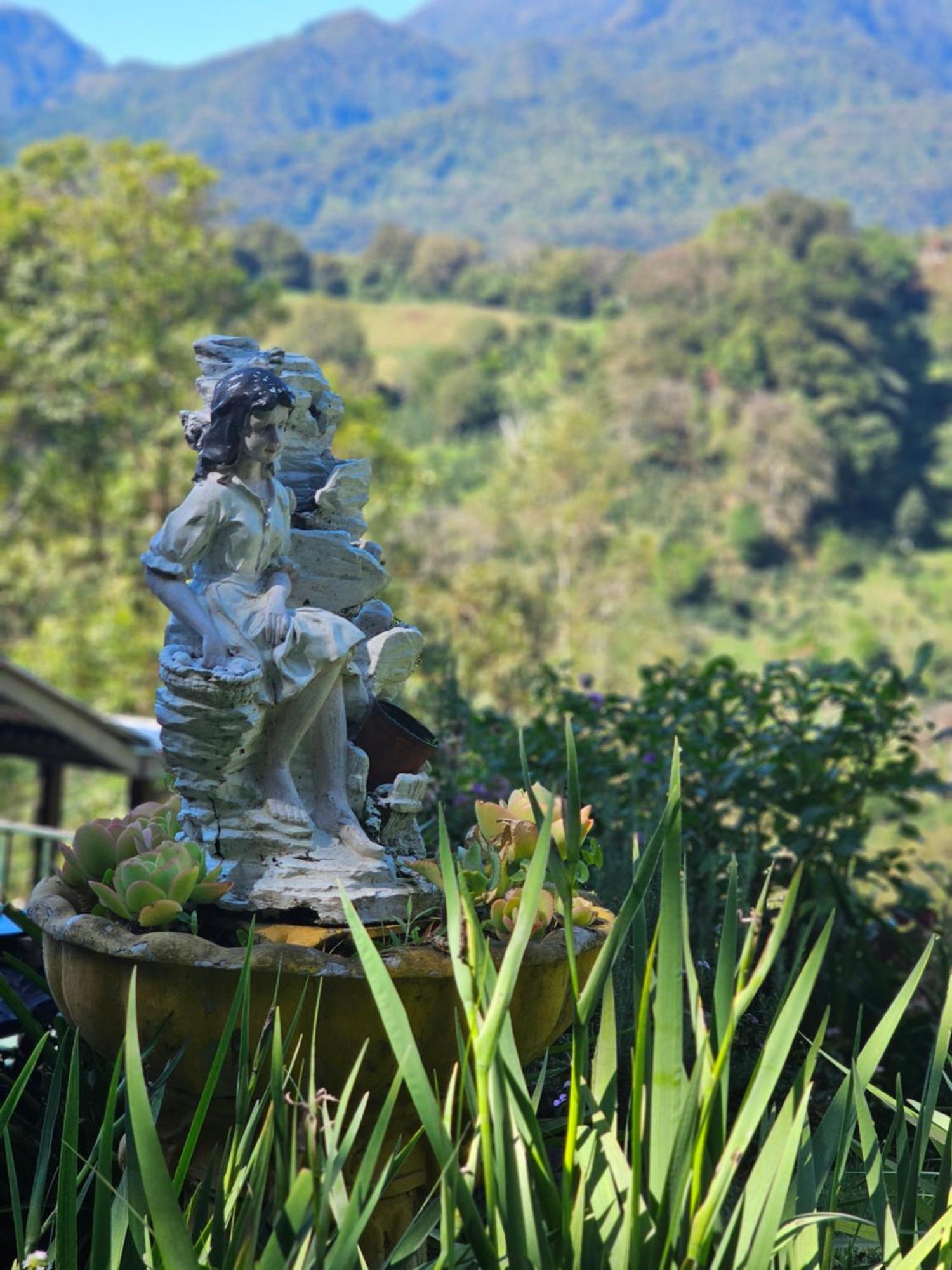 Eco Horqueta Bed & Breakfast Boquete Exterior photo