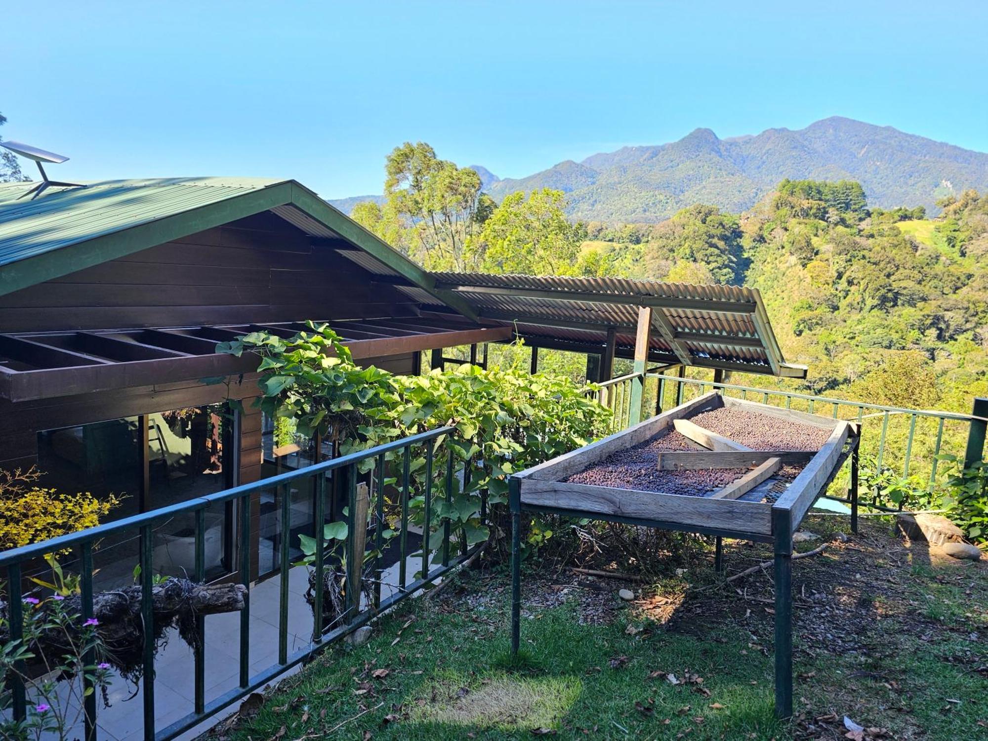 Eco Horqueta Bed & Breakfast Boquete Exterior photo