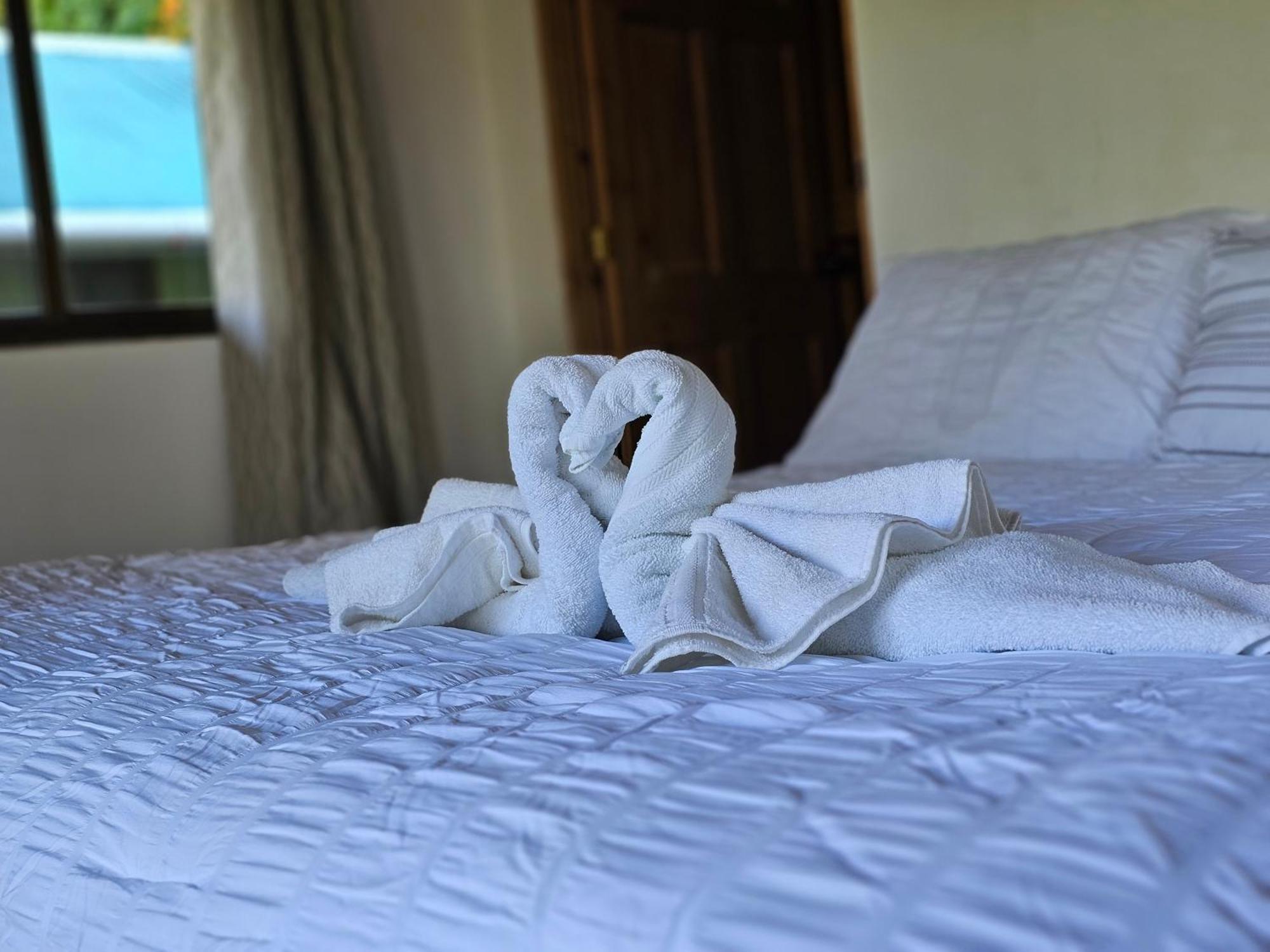 Eco Horqueta Bed & Breakfast Boquete Exterior photo