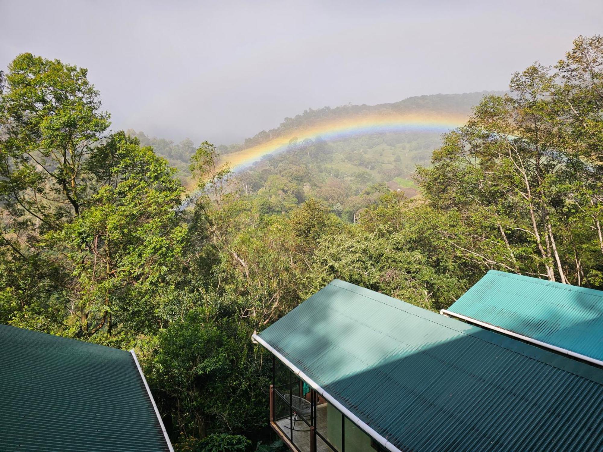 Eco Horqueta Bed & Breakfast Boquete Exterior photo