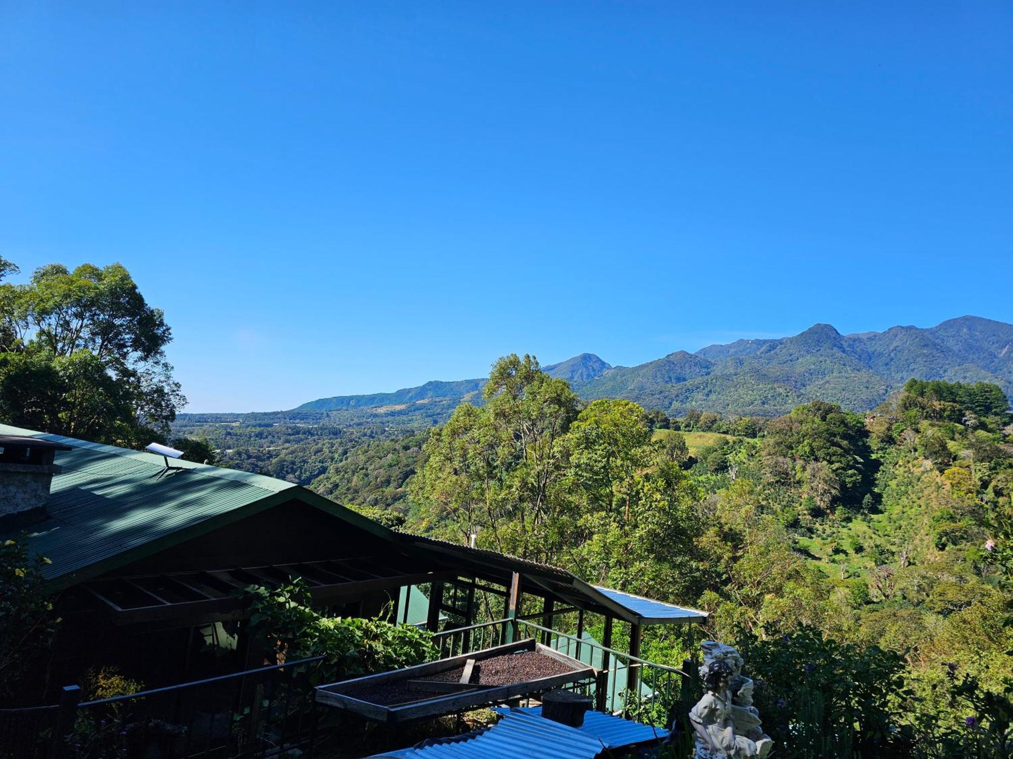 Eco Horqueta Bed & Breakfast Boquete Exterior photo